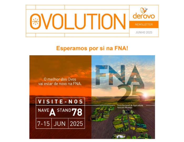 newsletter derovo